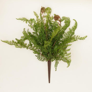 Cinnamon Fern Pick