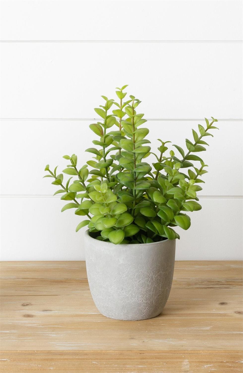 faux potted succulent Faux Potted Succulent Plant