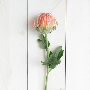 Pick - Protea Pink Small