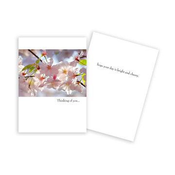 Cherry Blossoms Thinking of You Card