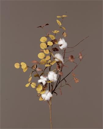 Decorative Branch of Cotton and Eucalyptus