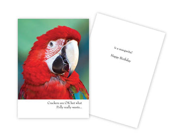 Funny Parrot Birthday Card