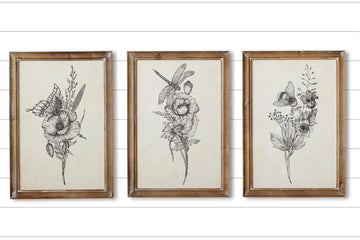 Framed Print - Botanical with Dragonfly (Middle Frame Only)