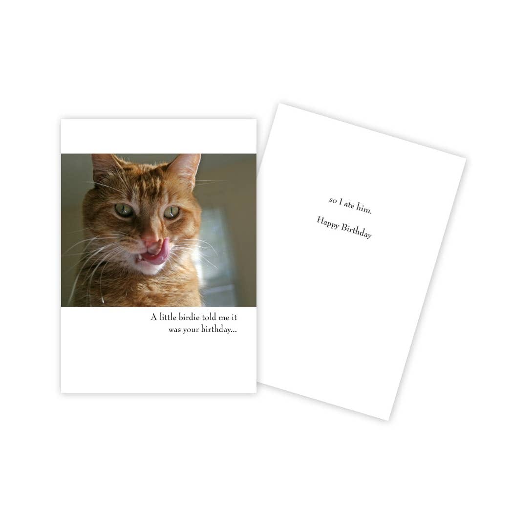Ginger Cat Funny Birthday Card - Five and Divine