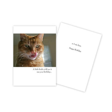 Ginger Cat Funny Birthday Card