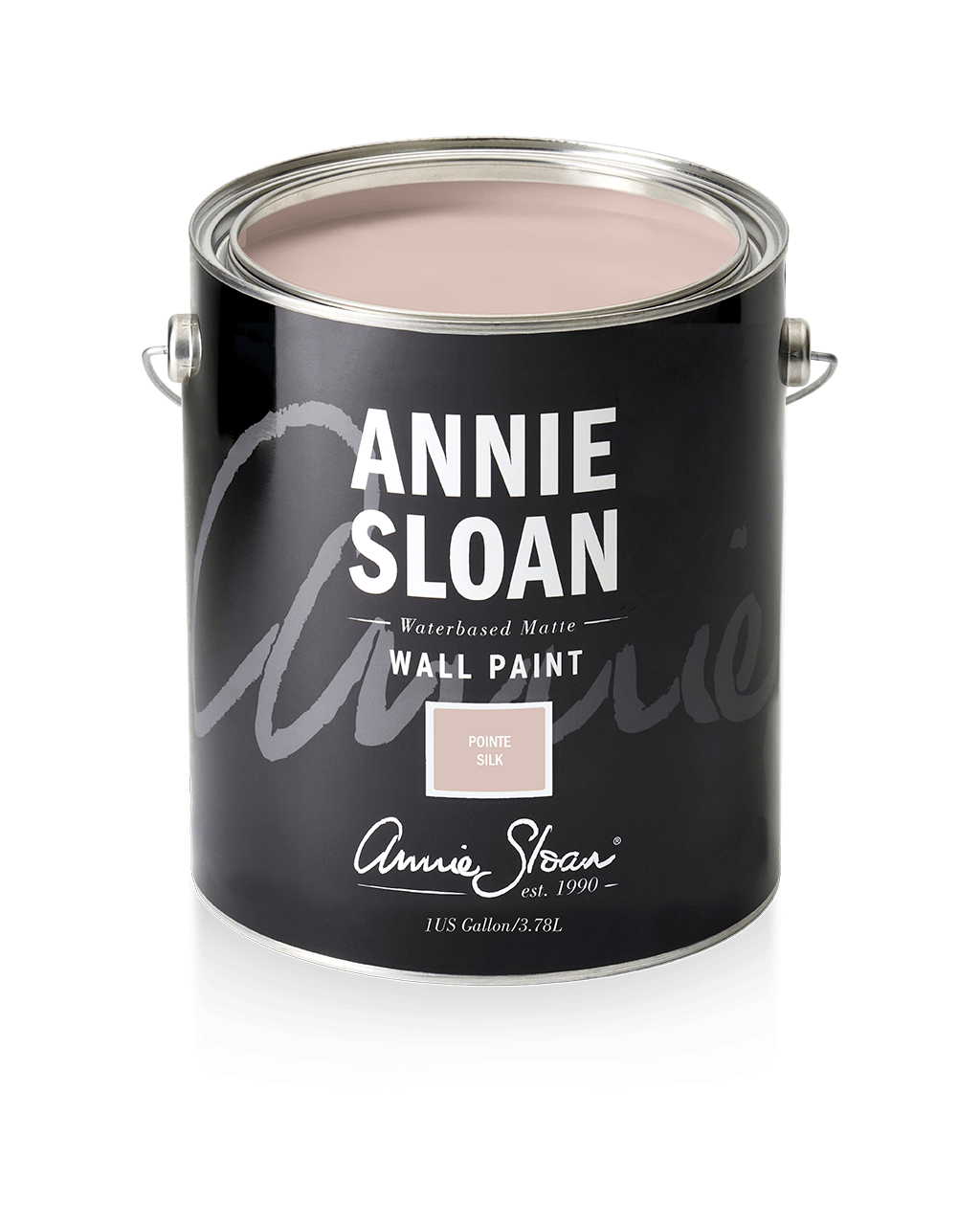 Annie Sloan Wall Paint Pointe Silk - 1 Gallon - Five and Divine