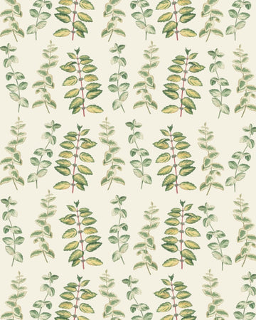 RHS Decoupage Paper - Mint