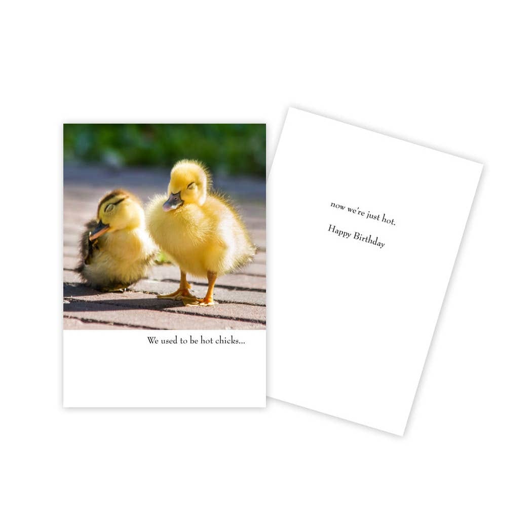 Hot Chicks Funny Birthday Card - Five and Divine
