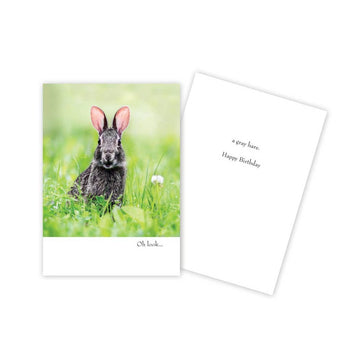 Funny Bunny Birthday Card - Five and Divine