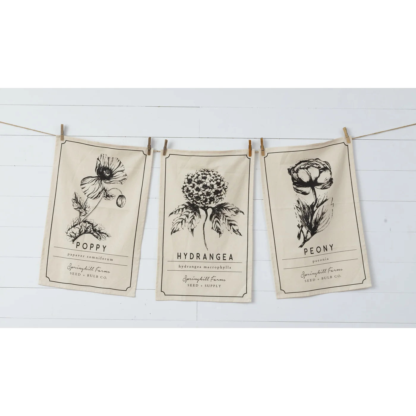 Tea Towels - Black & White Botanical (Set of 3) - Five and Divine