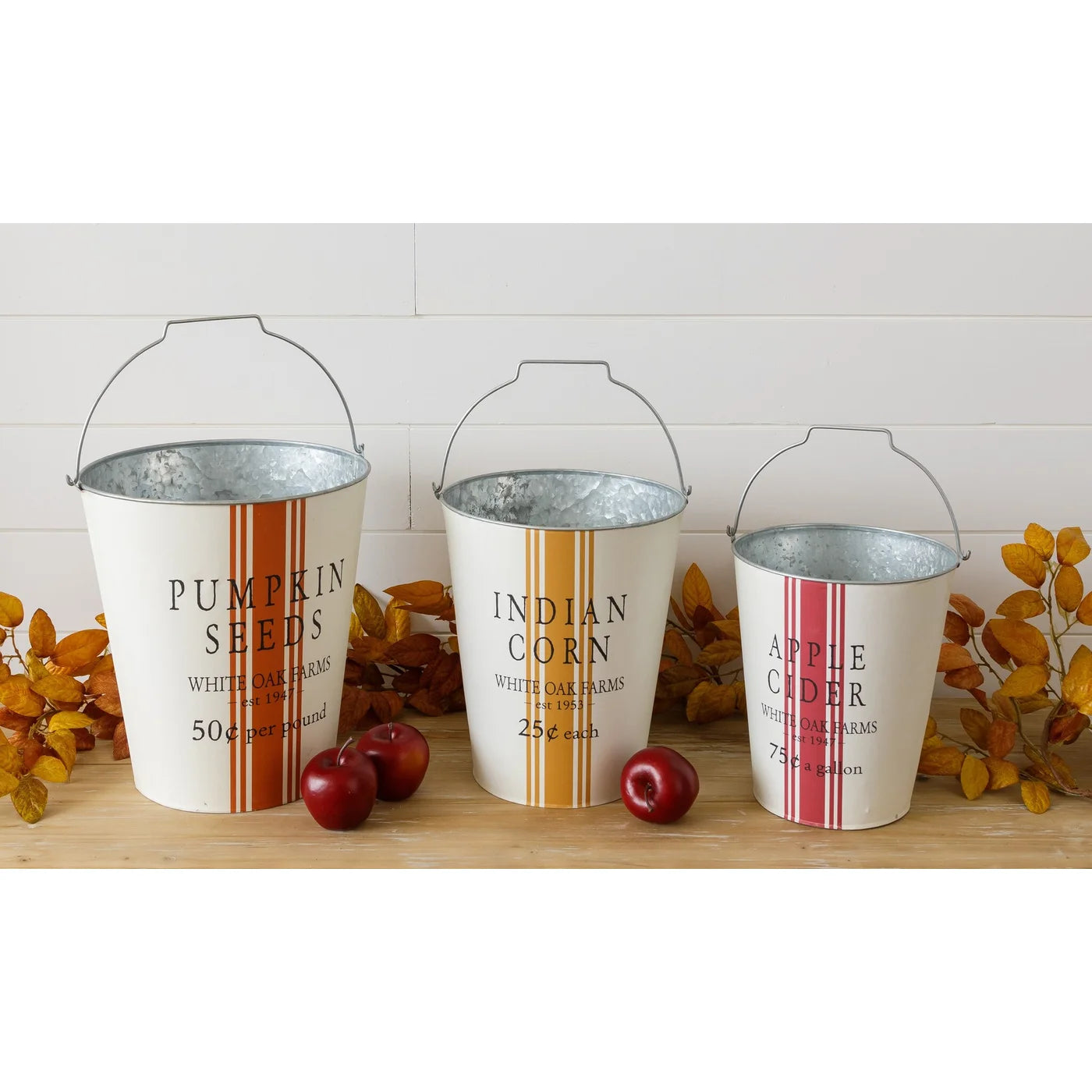 Apple Cider Bucket - Small - Five and Divine