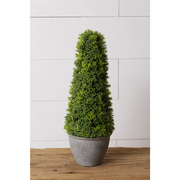 Topiary - Cement Pot - Five and Divine