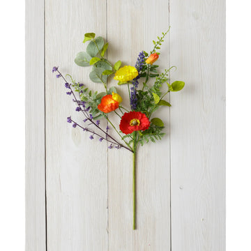 Pick - Assorted Color Poppies with Foliage - Five and Divine
