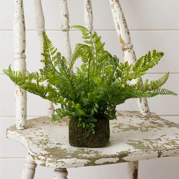 Mossy Faux Fern - Five and Divine