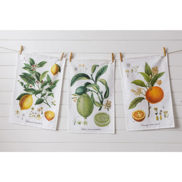 Tea Towels - Botanical Fruits (Set of 3) - Five and Divine