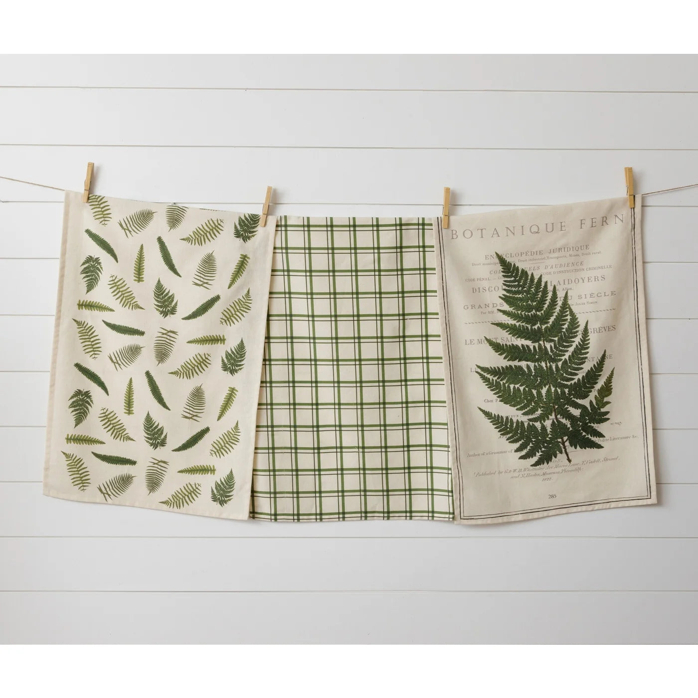 Tea Towels - Ferns (Set of 3) - Five and Divine