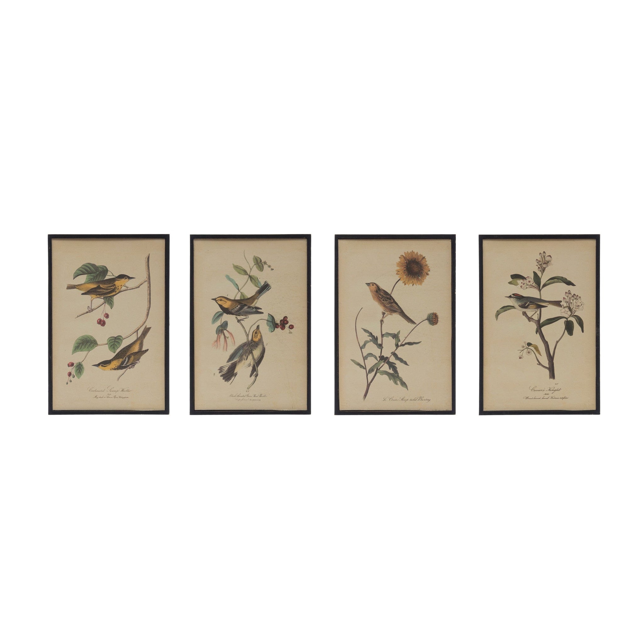 Wood Framed Wall Decor w/ Vintage Reproduction Bird & Flower Image - Five and Divine