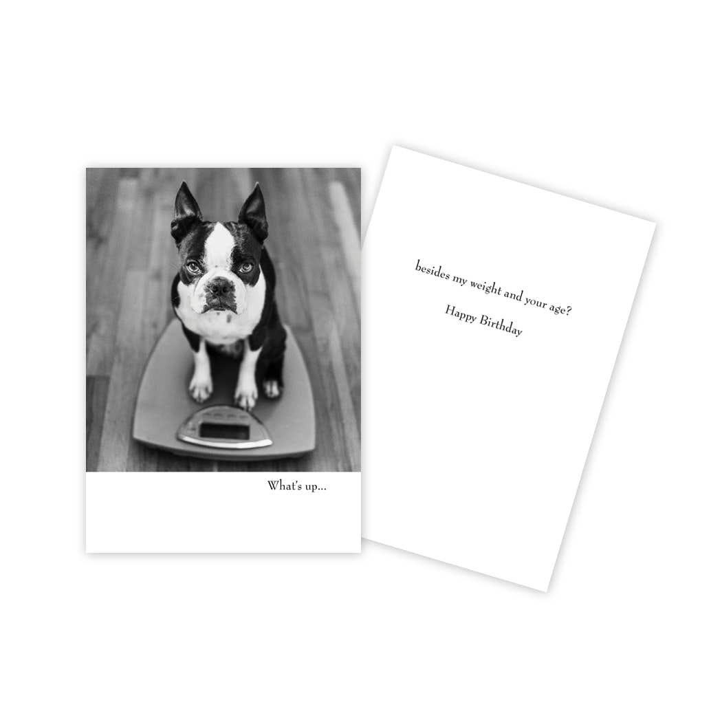 Dog on Scale Funny Birthday Card - Five and Divine