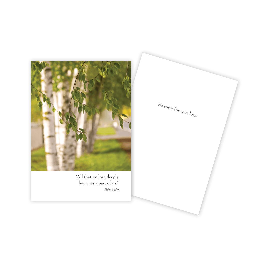 Birch Trees Sympathy Card - Five and Divine