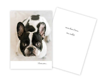 Dog Funny Anniversary Card - Five and Divine